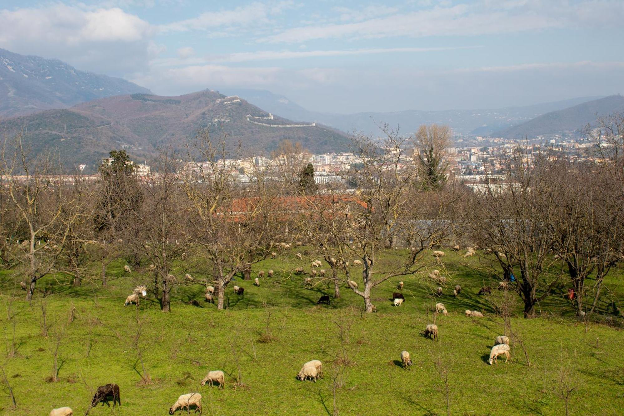 Caledonia B&B Mercato San Severino Kültér fotó